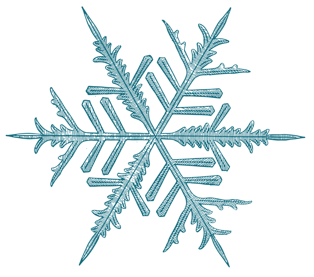 flocon neige restaurant savoyard essonne